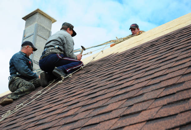 Best Roof Repair Services  in Swisher, IA